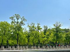-北陵公园