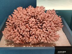 -中国湿地博物馆