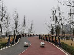 -府河摄影公园