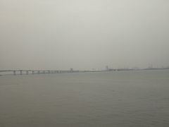 -大湾区中央湿地公园