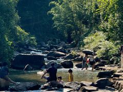 -广州白江湖森林公园