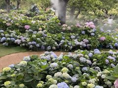 -名花谷生态庄园