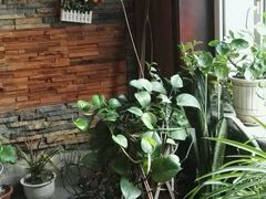 -清悦酒吧咖啡馆