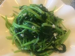 -文三里屯面馆(三里屯店)