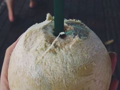 泰国椰皇-水果天空(东葛店)