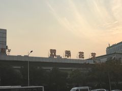-双季花艺园艺市场(浦东店)