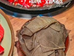 -楠火锅(哈尔滨金爵万象店)