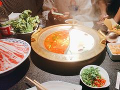 -熊喵来了火锅(太原里第2分店)