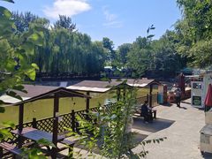 -尚庄度假村·庭台树下·户外烧烤·团建CS·轰趴营地(上庄水库店)