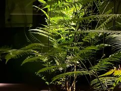 -Love Story爱情故事·养生SPA会所(新侨店)