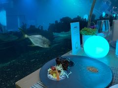 -海棠湾洲际-涛·海底餐厅·美人鱼·自助餐·海底隧道
