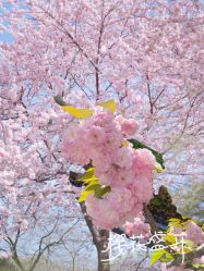 -WAVE SODA摄影工作室