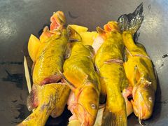嘎牙子鱼-江湖水乡铁锅炖魚(周庄嘉园店)