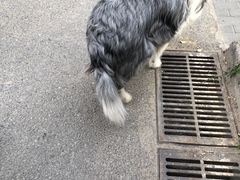 -萌兽医馆·眼科·异宠专科(三里屯店)