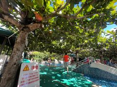 -三亚亚龙湾天域度假酒店