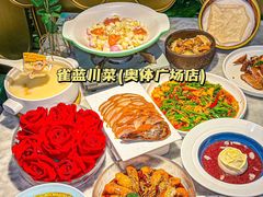 -雀蓝川菜(奥体广场店)