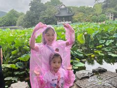 -西湖外事游船(花港观鱼码头)