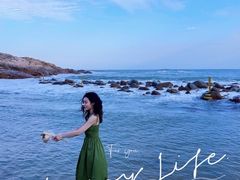 -广东惠东海龟国家级自然保护区