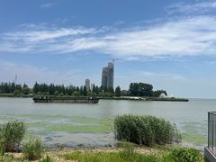 -黄金湖岸