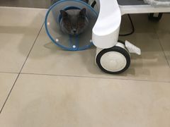 -美迦爱-牙专科·兔科·骨科诊疗中心(北苑店)