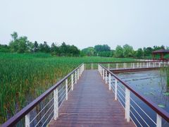 -同里国家湿地公园