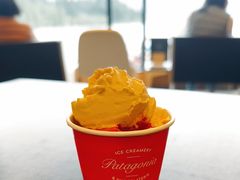 -Patagonia Chocolates(皇后镇店)