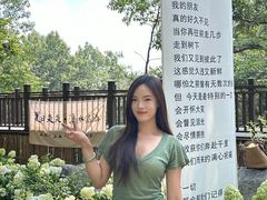 -沂蒙山旅游区云蒙景区(蒙山国家森林公园)