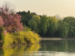 -禹州森林植物园