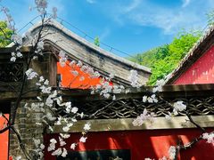 -潭柘寺景区