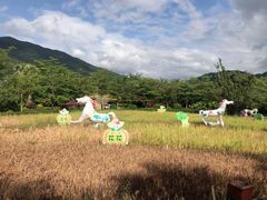 -鹿回头风景区