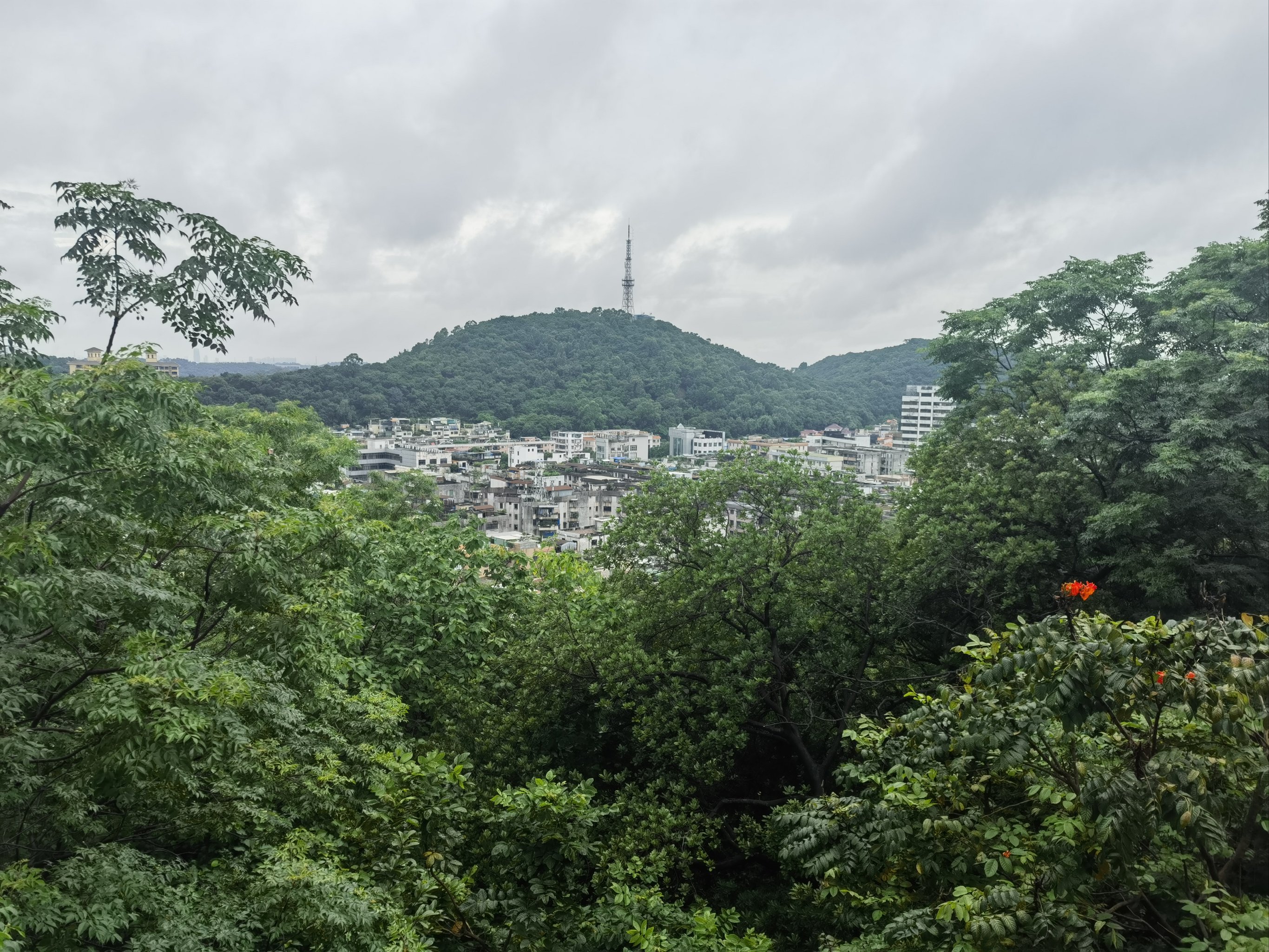 华盖山栈道门票图片