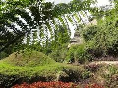 -西双版纳基诺山寨