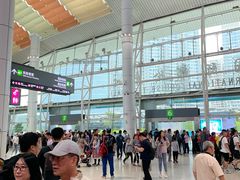 -国际邮轮中心码头(厦鼓码头)
