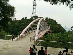 -金鸡山公园