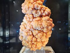 -中国地质大学逸夫博物馆
