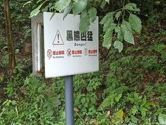 -都江堰中华大熊猫苑