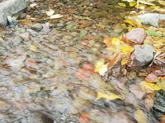 -云岫谷游猎自然风景区