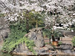 -南山植物园