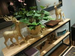 -印·Style造型创始店