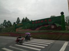 -峨眉山报国寺