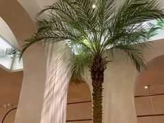 -来龙里 精致 东南亚餐室(万象城店)