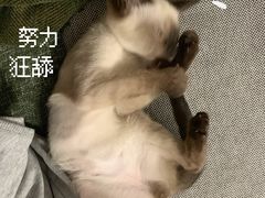 -联合动物医院(光谷诊疗中心)