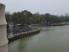 -塘沽森林公园