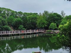 -白马涧龙池景区