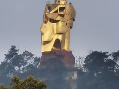 -南山植物园