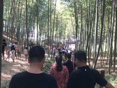 -宁波浙东大竹海景区