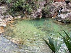 -南海湾森林生态园