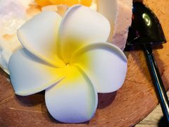 -胡桃里乐队酒馆(长春总店)