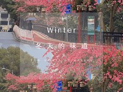 -禅城中山公园