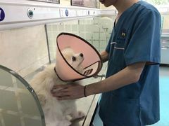 -动物缘宠物医院·骨科·猫科(西二环店)